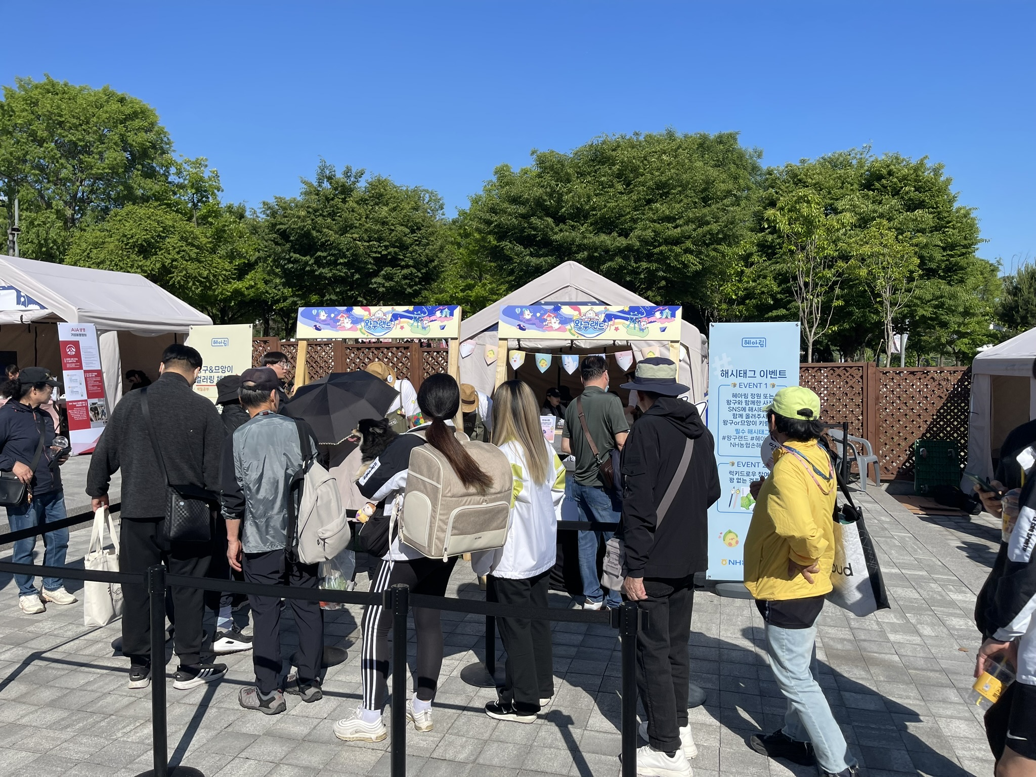 NH농협손해보험 갤러리 11